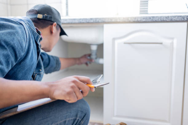 Best Plumbing Services Near Me  in Brandon, FL