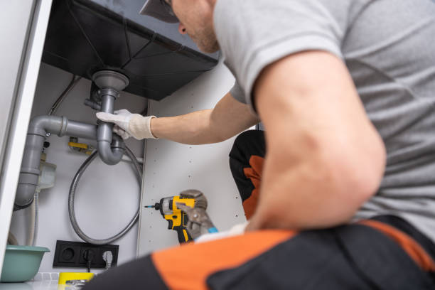 Best Clogged Drain Plumber  in Brandon, FL