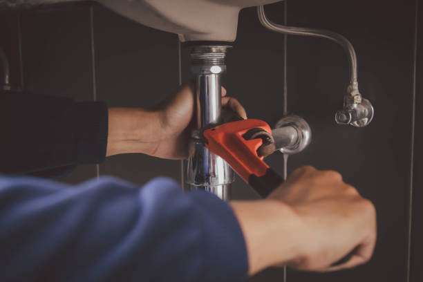 Best Plumbing Repair Near Me  in Brandon, FL